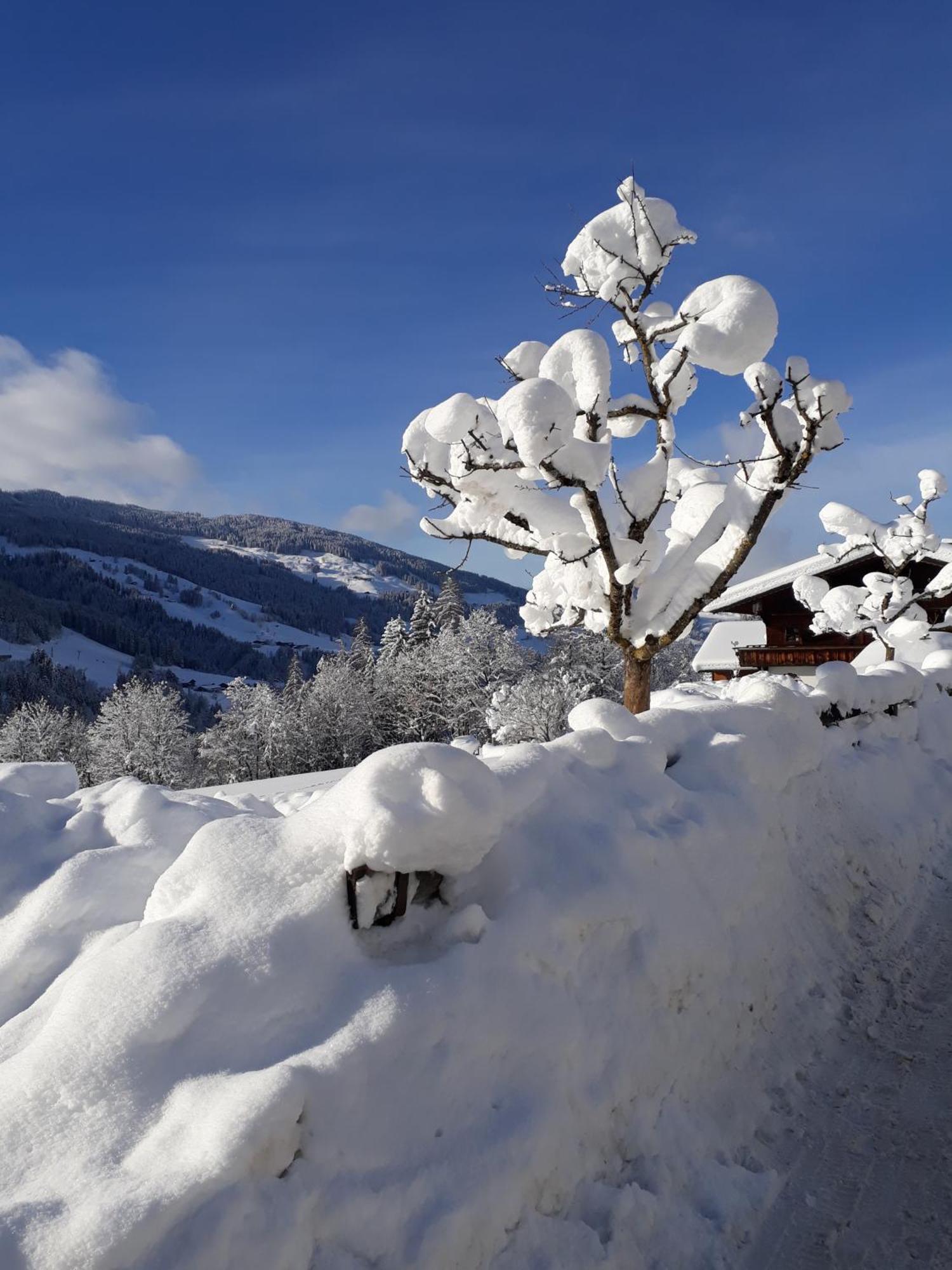 Hotel Haus Gmahblick Alpbach Exterior foto
