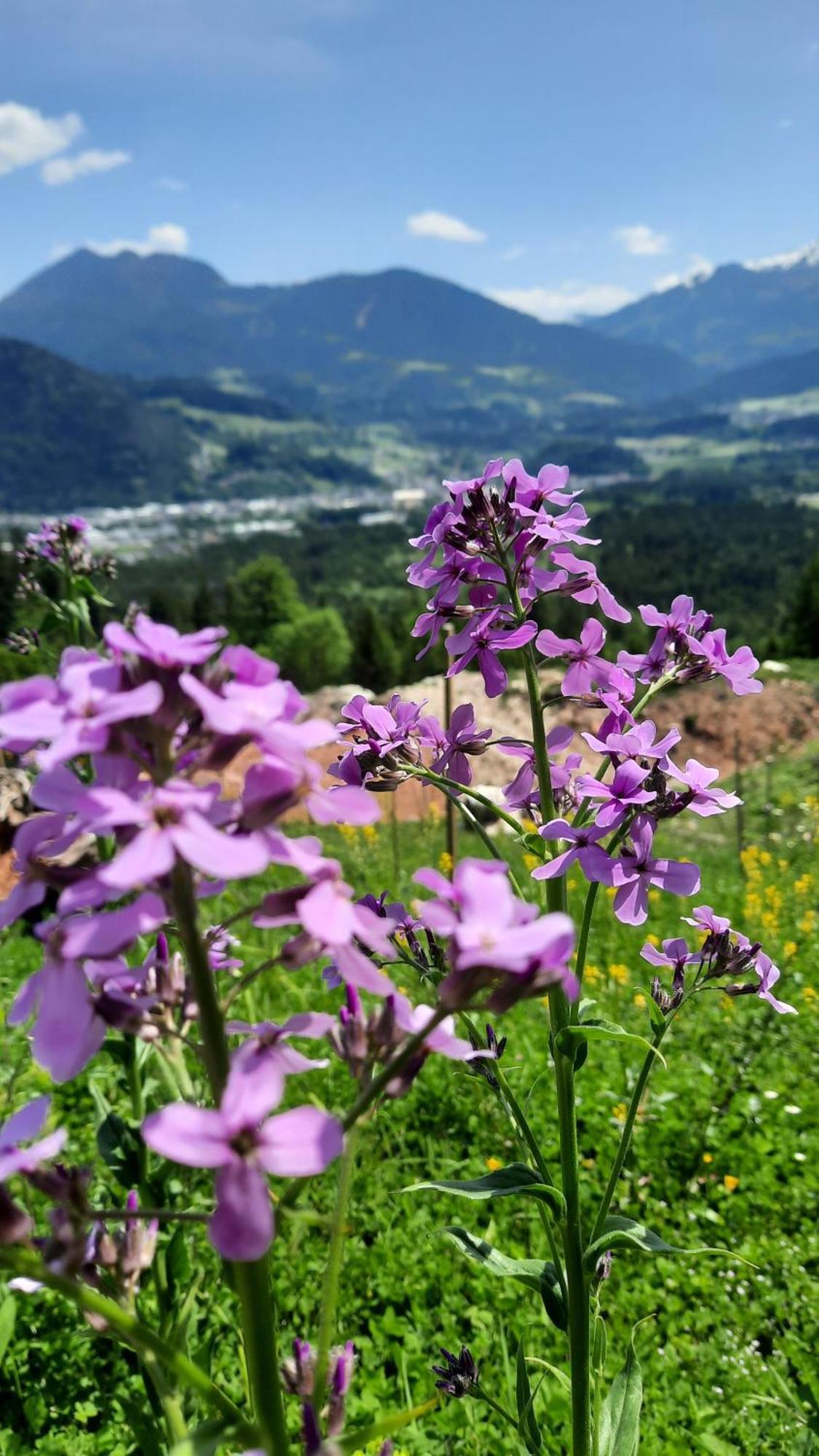 Hotel Haus Gmahblick Alpbach Exterior foto